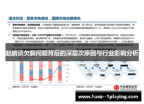 赵鹏谈欠薪问题背后的深层次原因与行业影响分析