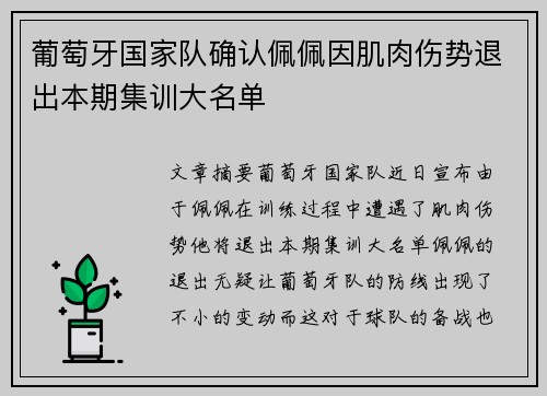 葡萄牙国家队确认佩佩因肌肉伤势退出本期集训大名单